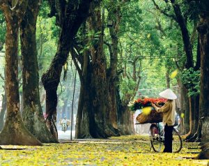 Hà Nội đẹp nhất khi vào thu