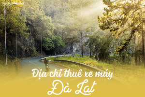 thue-xe-may-gia-re-da-lat