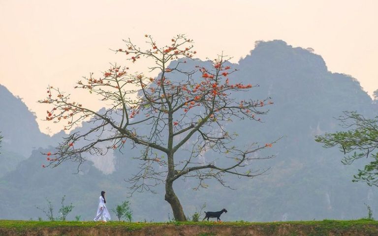 Hồ Quan Sơn ở đâu?