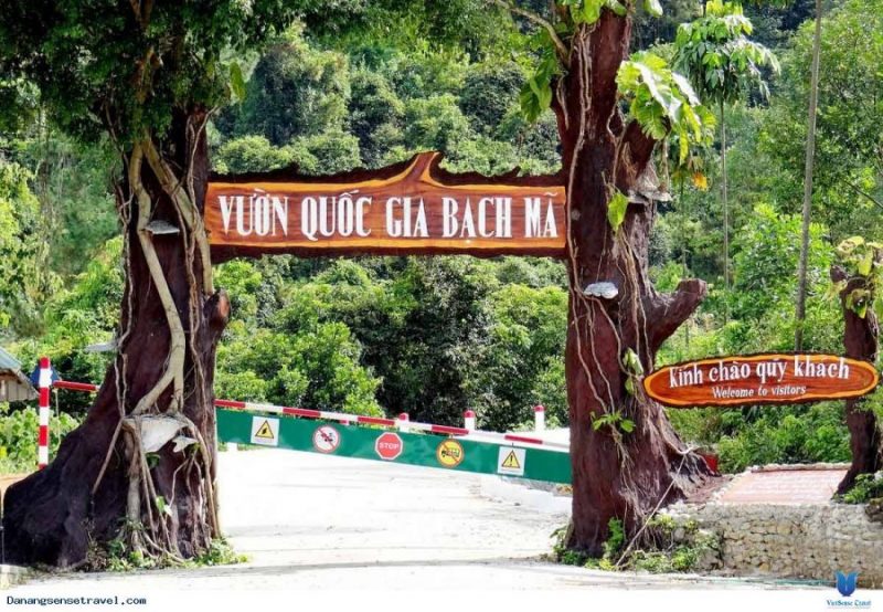 Vườn quốc gia Bạch Mã - Hưỡng dẫn chi tiết thông tin du lịch - MOTOGO