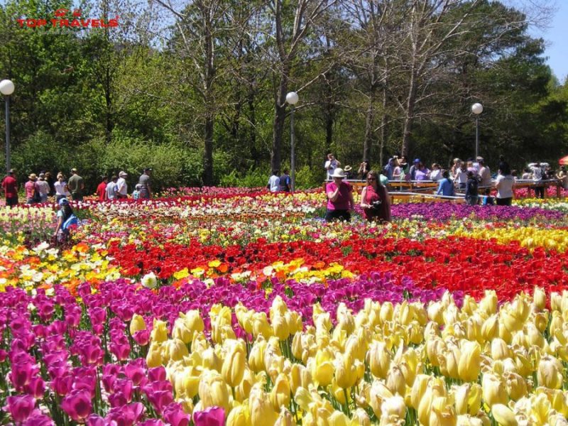  Top 24 vườn hoa Đà Lạt đẹp ngất ngây, thoải mái checkin