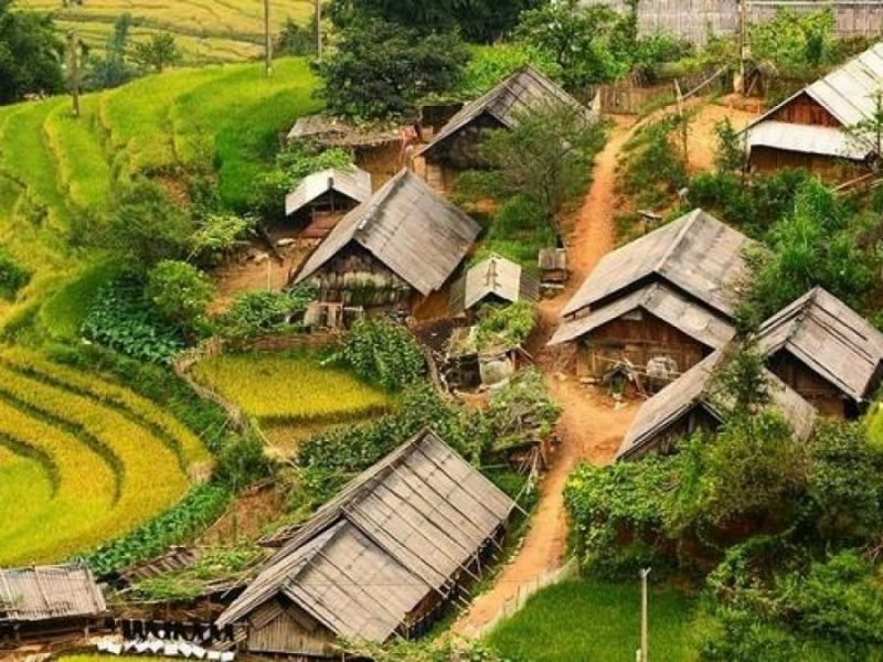 Homestay Assistant in Sa Pa