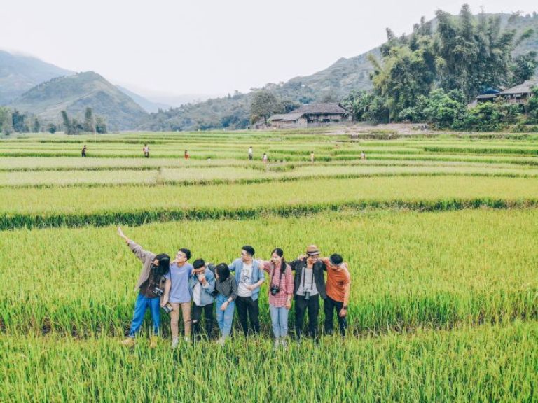 Đi từ xa xa trên đèo,bạn sẽ bị hút mắt bởi sự mượt mà,óng ả của cánh đồng đang trải dài tận chân trời – Đó chính là Cánh đồng Mường Lò! Nằm lọt thỏm giữa bao la xung quanh núi đồi,bằng phẳng xanh biếc vào mùa xuân rồi trở nên vàng óng ánh vào mùa hạ.