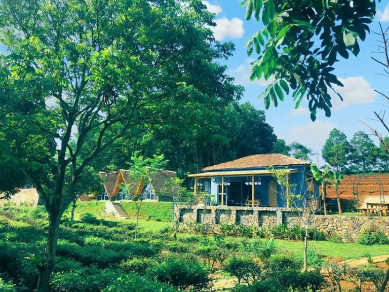 Nằm trên quả đồi xanh và thảm cỏ tựa như căn nhà trên thảo nguyên. (nguồn: Motogo.vn) 