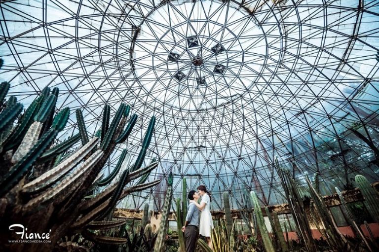 vườn Sương Rồng Ba Vì