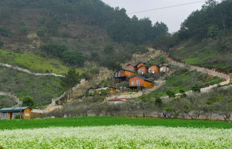 TOP 24 homestay Mộc Châu có phong cảnh đồi chè xanh và rừng hoa Cẩm Tú Cầu bạt ngàn xinh đẹp