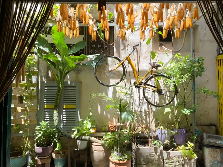 Domino Homestay có một chiếc sân vườn nho nhỏ, được bố trí nhiều chậu cây xanh và những đồ vật gần gũi, thân thiết đậm chất Việt Nam (nguồn: facebook.com)
