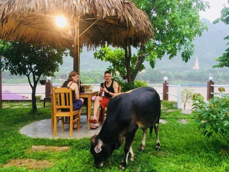 Carambola Bungalo | Homestay Phong Nha