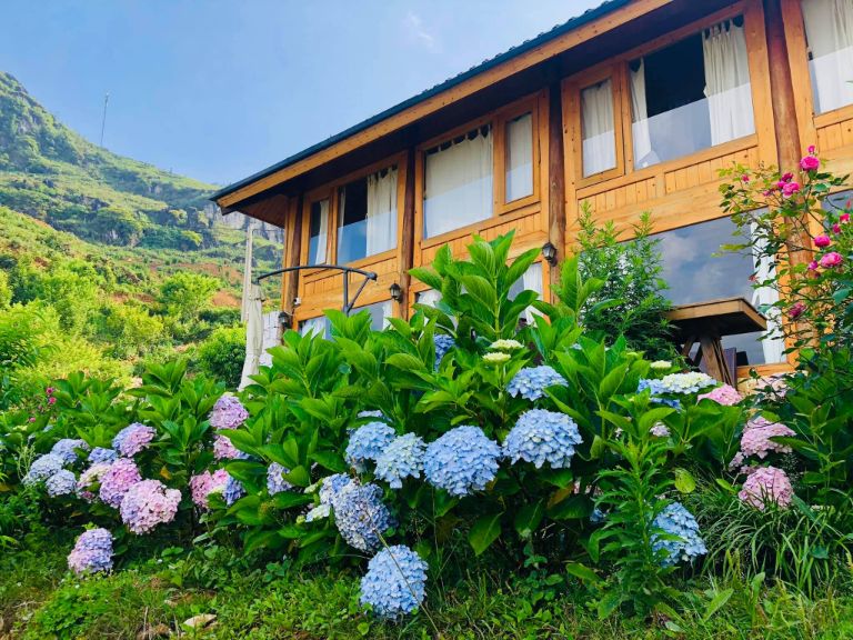 Những đóa hoa cẩm tú cầu càng khiến căn homestay Sapa này nhìn giống như một khu vườn cổ tích giữa thung lũng 