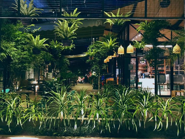 Quán cà phê sân vườn ngay tại tầng 1 của homestay Gia Lai.