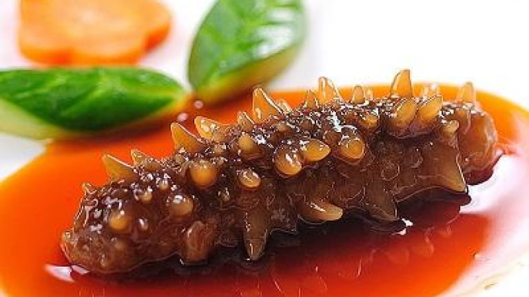 Hải sâm món ăn thuộc loại thượng hạng ở Phú Quốc