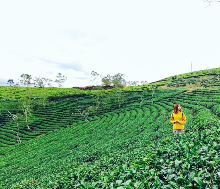 Không gian xanh mát và trong lành