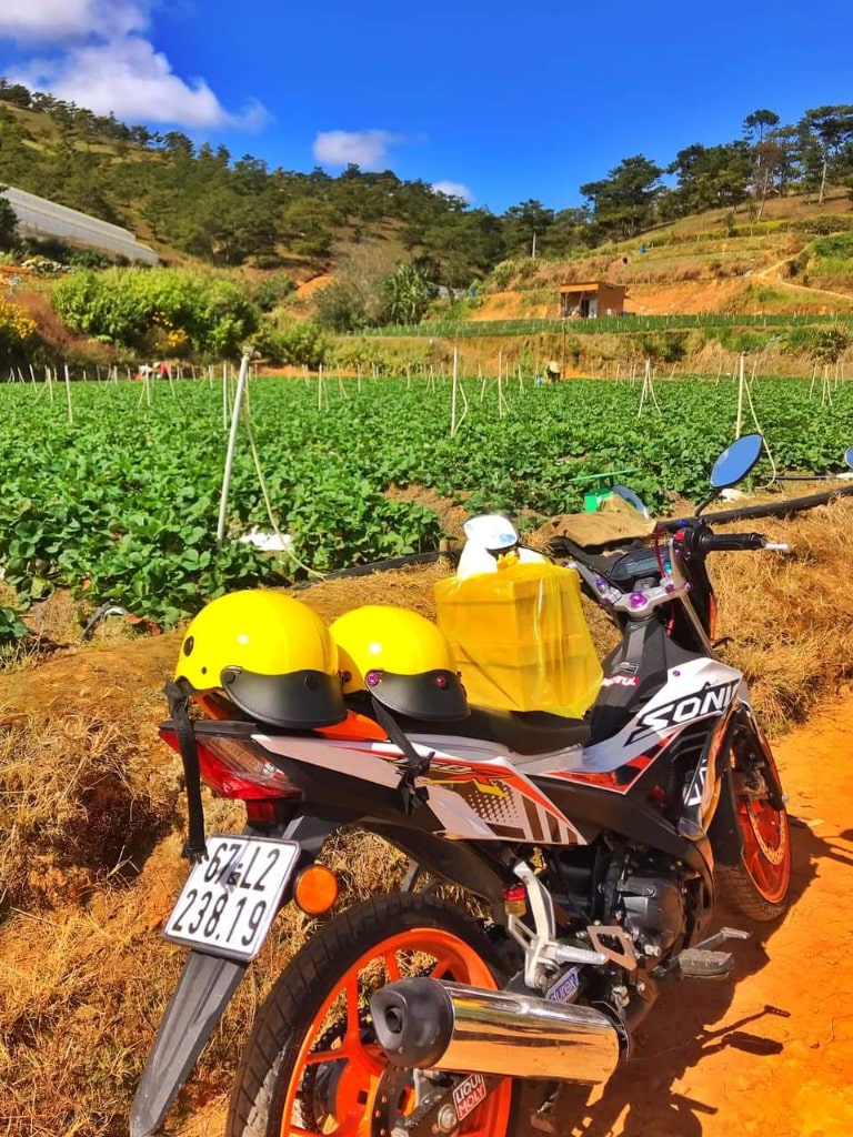 Phong cảnh du lịch đẹp