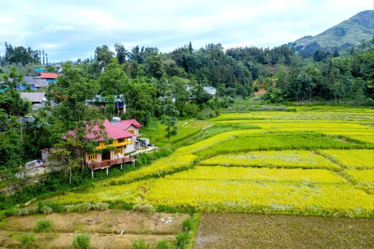 Nếu bạn muốn trải nghiệm cuộc sống địa phương và muốn tìm một nơi ít du khách biết đến, homestay tại Lào Cai là một lựa chọn tuyệt vời.