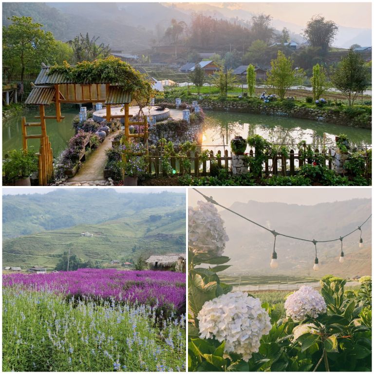 Vườn hoa trồng 25 loại hoa, từ cẩm tú cầu, xác pháo, tam giác mạch, giàn hoa hồng leo,... sẽ là điểm checkin cực chất (nguồn: facebook.com)
