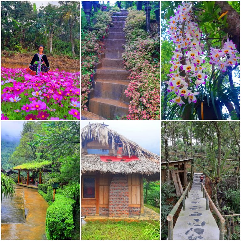 Homestay Vàng A Chỉnh Lai Châu nổi tiếng với vườn địa lan tuyệt đẹp nhất vùng núi Tây Bắc 