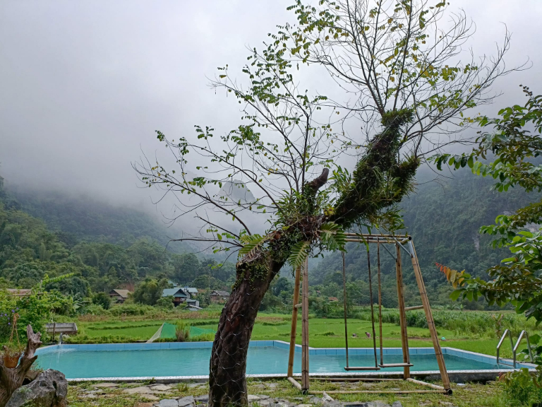 Bể bơi trong khuôn viên homestay Tài Ngào Lâm Bình cho du khách sử dụng 