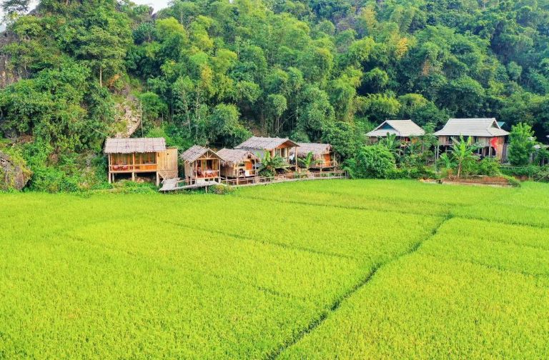 Bao quanh là núi rừng hùng vĩ xanh thẳm, Little Mai Châu homestay lý tưởng cho những ai muốn tìm kiếm địa điểm nghỉ dưỡng yên bình, tĩnh lặng (nguồn: booking.com)