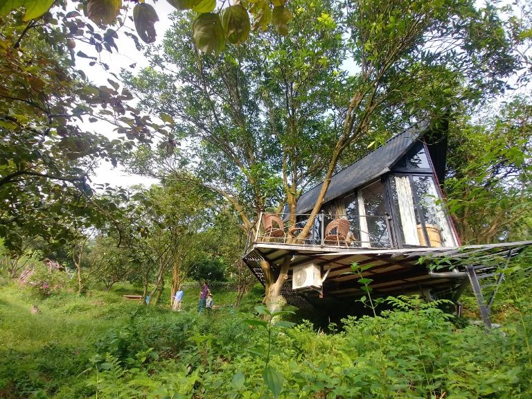 Trong homestay Sóc Sơn, căn hộ nổi bật là căn bungalow nhỏ xinh trên cây, với gam màu cam ấm áp làm chủ đạo.