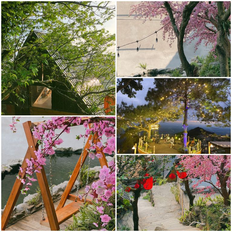 Kumo Chan Homestay Tam Đảo sẽ đưa du khách đến với xứ sở hoa anh đào nổi tiếng