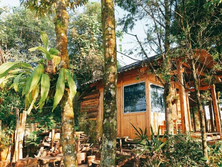 Nằm trên sườn đồi với vị trí tuyệt đẹp, căn bungalow Rừng Thông tại homestay ở thị trấn Sapa là lựa chọn lý tưởng dành cho các cặp đôi hoặc gia đình nhỏ.