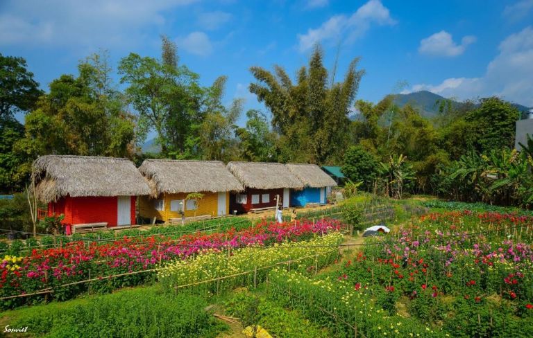 Homestay Lương Sơn Cao Bằng là địa chỉ lưu trú với không gian xanh rộng nhất tại Cao Bằng