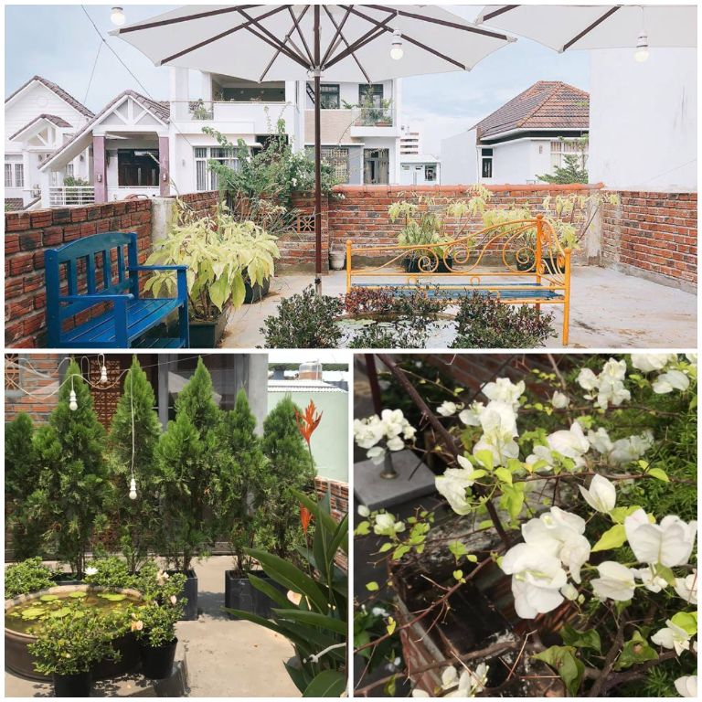Với sân vườn rộng lớn, Homestay gần sân bay Đà Nẵng này là một lựa chọn lưu trú khác biệt và mang đến không gian mát mẻ vào những ngày trưa hè (nguồn: facebook.com)