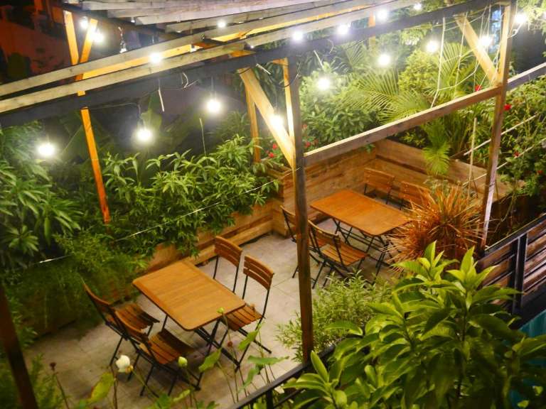Không gian quán cafe với nhiều loại cây xanh mát tạo cảm giác thư thái được hòa mình vào thiên nhiên giữa lòng trung tâm