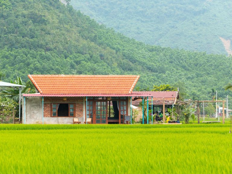 Căn homestay Hòa Bắc Đà Nẵng Lúa Coffee House là một ngôi nhà bé nhỏ tọa lạc giữa cánh đồng lúa rộng mênh mông (nguồn: facebook.com)