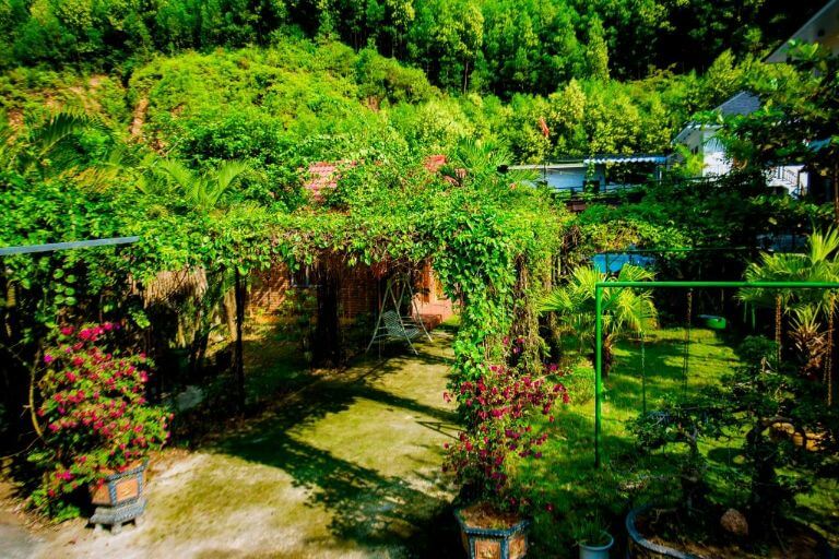 Hillside View Homestay nằm gọn trong rừng cây xanh mát của vườn quốc gia Phong Nha (Nguồn: Booking)