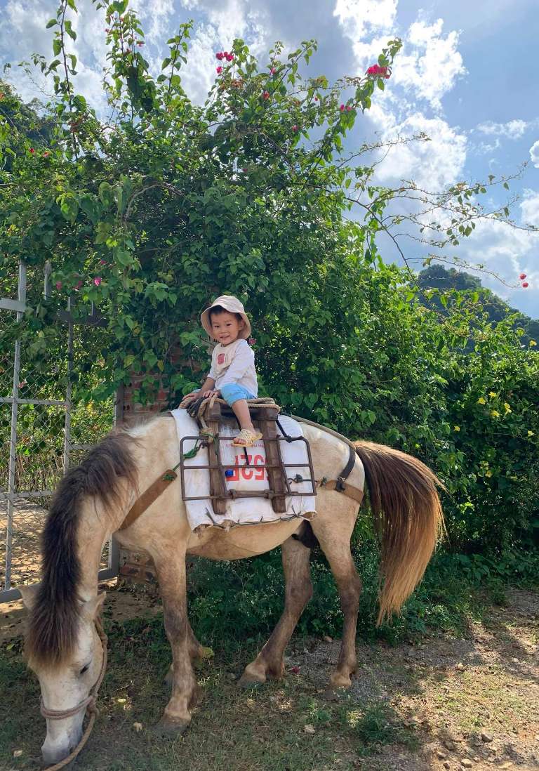 Cậu bé nhỏ cưỡi trên lưng ngựa được chuẩn bị tại homestay vô cùng đáng yêu, cute