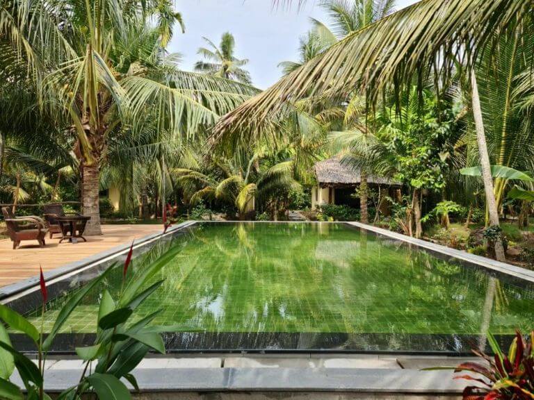 Bể bơi ngay tại khuôn viên của Mekong Home được vệ sinh sạch sẽ tầm nhìn ngắm ra khu miệt vườn