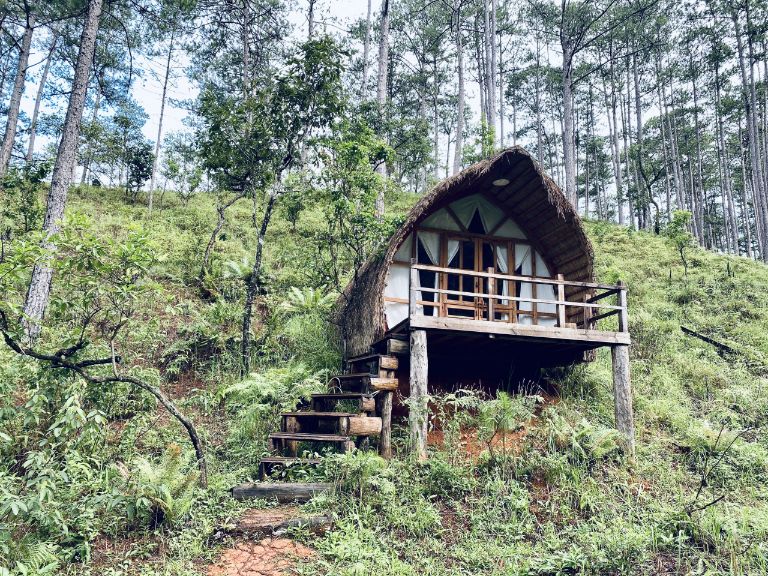 TOP 05 điểm đến homestay Đà Lạt rừng thông đẹp nhất hiện nay được du khách tìm kiếm