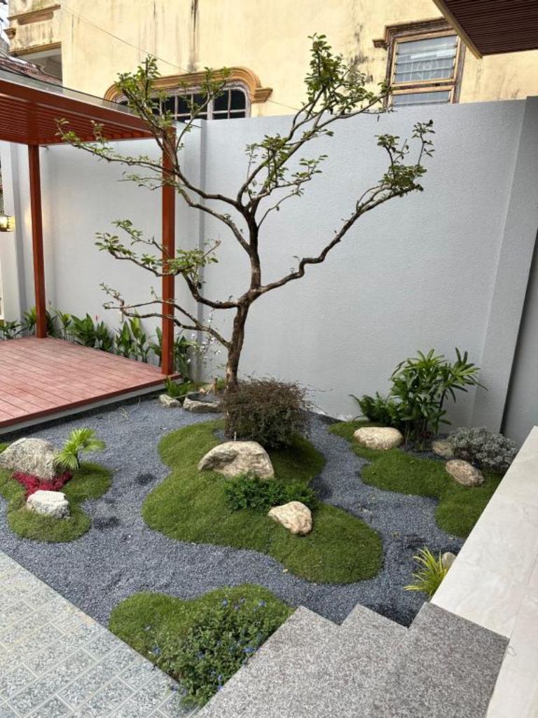 Xung quanh homestay trồng rất nhiều cây bon sai mang phong cách Nhật Bản hiện đại