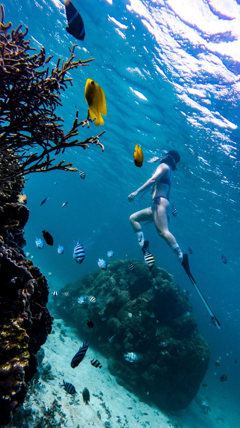 Dịch vụ lặn ngắm san hô tại Gác villa được nhiều du khách quan tâm và đánh giá cao. (nguồn: internet) 