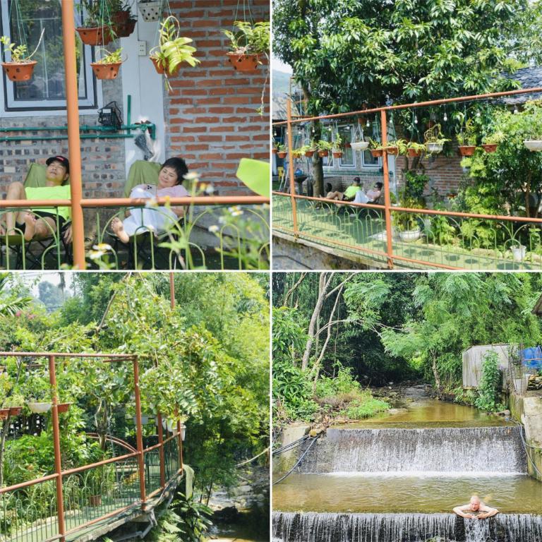 Khuôn viên được bao phủ bởi nhiều loại cây và hoa do chính chủ nhà chăm sóc, tạo cảm giác thân thiện, thư giãn.
