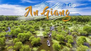 Tour xe máy An Giang: Đắm chìm vào vẻ đẹp hoang sơ miền Tây