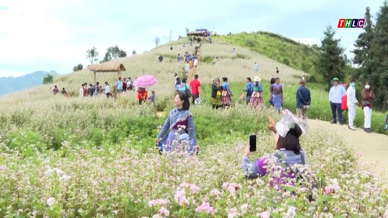 Núi đá, rừng nguyên sinh Si Ma Cai – Cảnh sắc như tranh thủy mặc