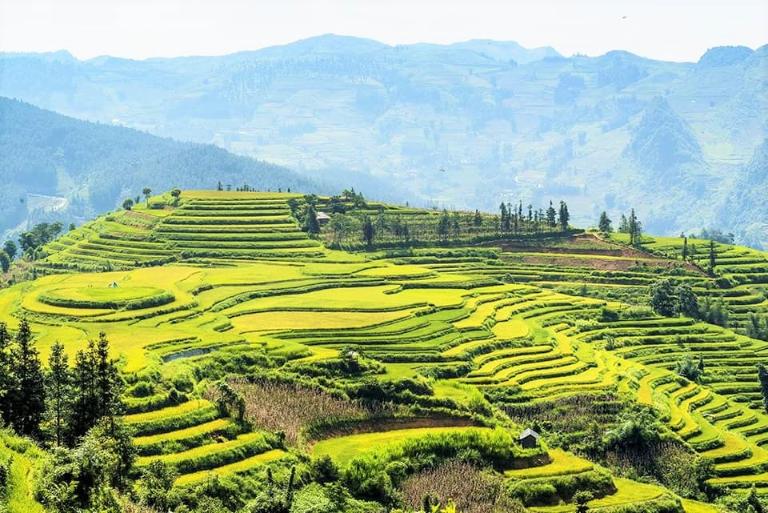 Mùa hè: Mùa đổ nước và ruộng bậc thang xanh mướt