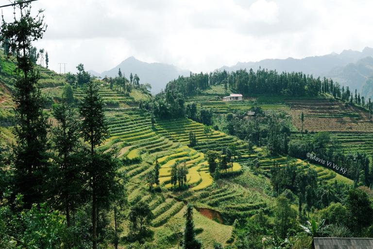 Bản Thào Chư Phìn, một bản làng người H’Mông đen, nổi tiếng với khung cảnh núi rừng nguyên sơ
