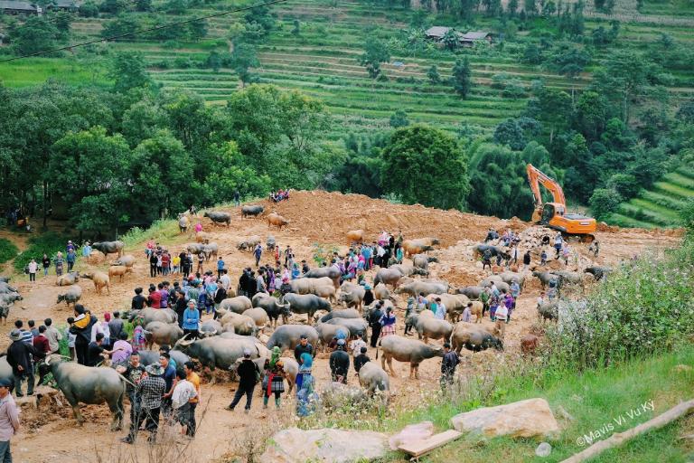 Chợ Cán Cấu (nếu là thứ Bảy) – nơi họp phiên cực kỳ độc đáo, chủ yếu là người H’Mông