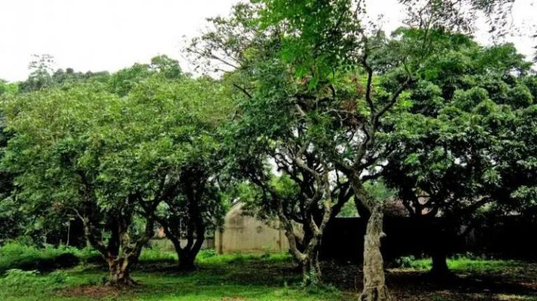 Tour xe máy Bạc Liêu
