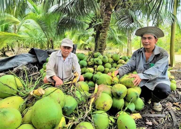 Tour xe máy Bến Tre