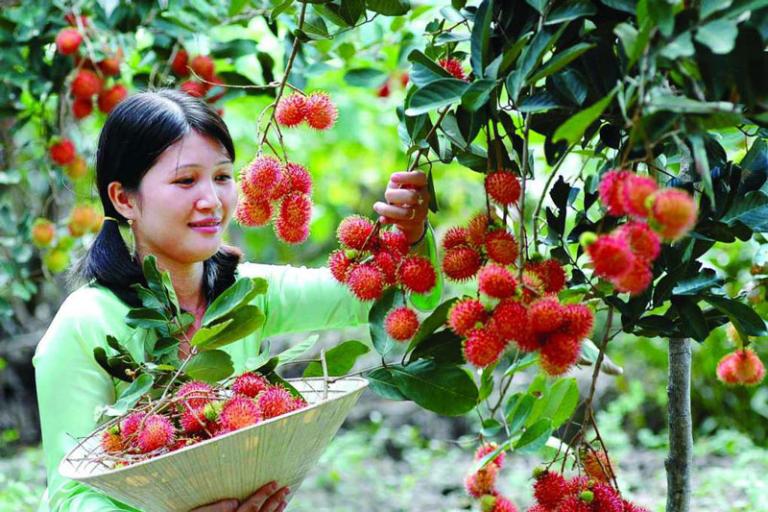 Tour xe máy Cần Thơ