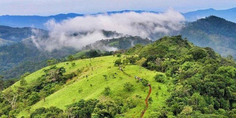Đứng từ đỉnh đồi, bạn sẽ nhìn thấy toàn cảnh những quả đồi nối tiếp nhau như sóng trập trùng
