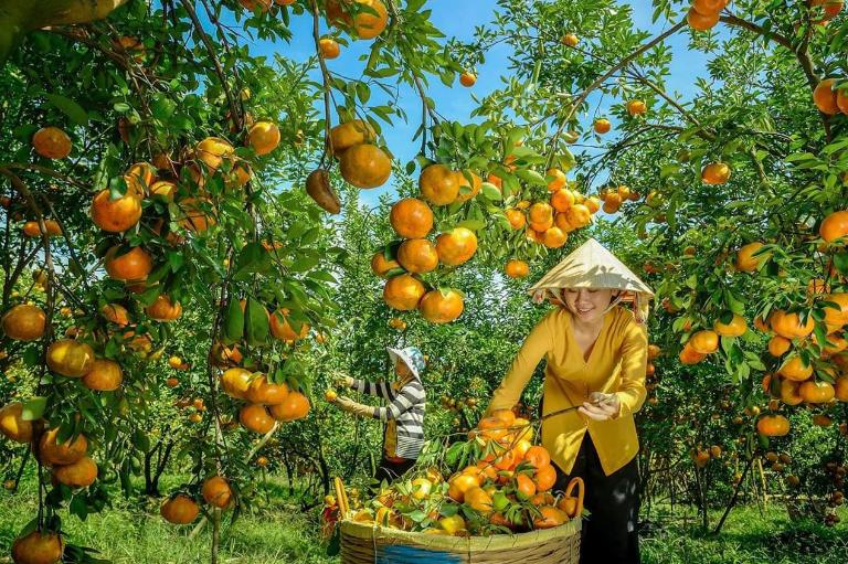 Tour xe máy Đồng Tháp
