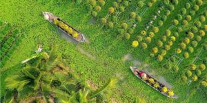 Tour xe máy Đồng Tháp: Trải nghiệm văn hóa làng hoa Sa Đéc
