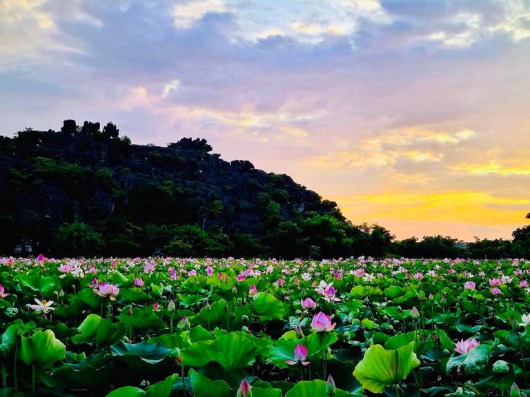 Tour xe máy Đồng Tháp