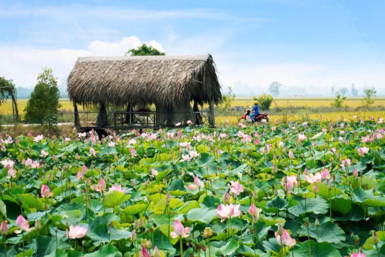 Tour xe máy Đồng Tháp