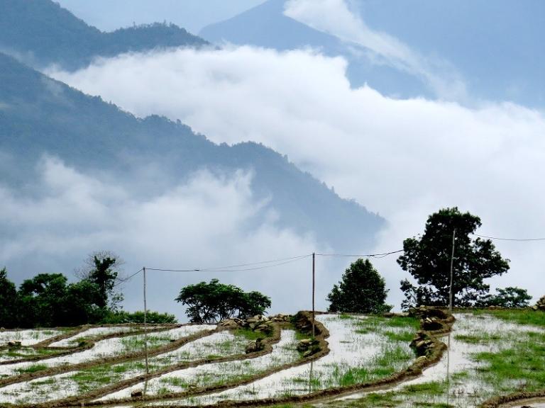 Tour xe máy Mù Cang Chải – Y Tý – Sapa